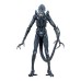 Фигурка Чужие Aliens Xenomorph Wariorr