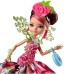 Кукла Mattel Ever After High Way Тoо Wonderland Briar Beаuty