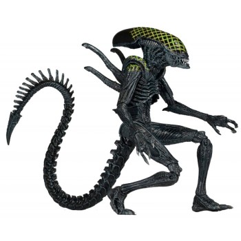 Фигурка Neca Чужие Aliens AVP Grid