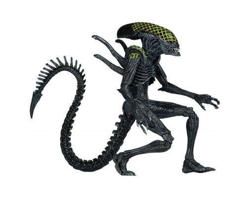 Фигурка Neca Чужие Aliens AVP Grid