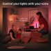Комплект умных светодиодных ламп Philips Hue Play 2 шт (Black)