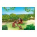 Конструктор Playmobil Дикие животные: семья орангутангов, арт.6648, 3 дет.