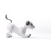 Собака - робот AIBO  ERS-1000 2017 Entertainment Robot AI