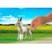 Конструктор Playmobil Ветеринарная клиника, арт.5529, 258 дет.