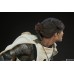 Фигурка Hot Toys Sideshow Court Dead Shard