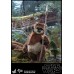 Фигурка Hot Toys Sideshow Star Wars Wicket